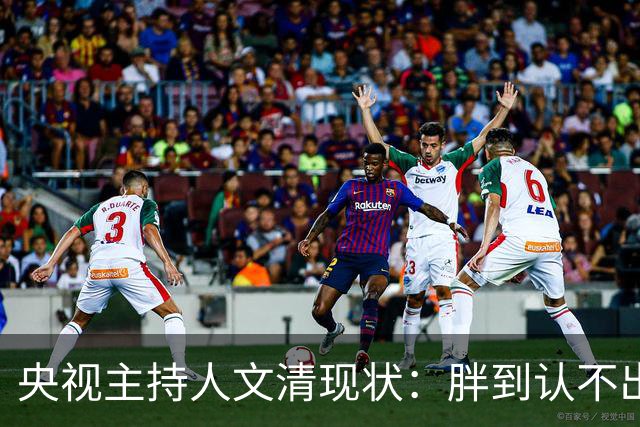 央视主持人文清现状：胖到认不出，在桂林陪读，老公在澳洲当院长