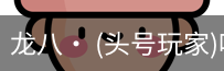 龙八头号玩家